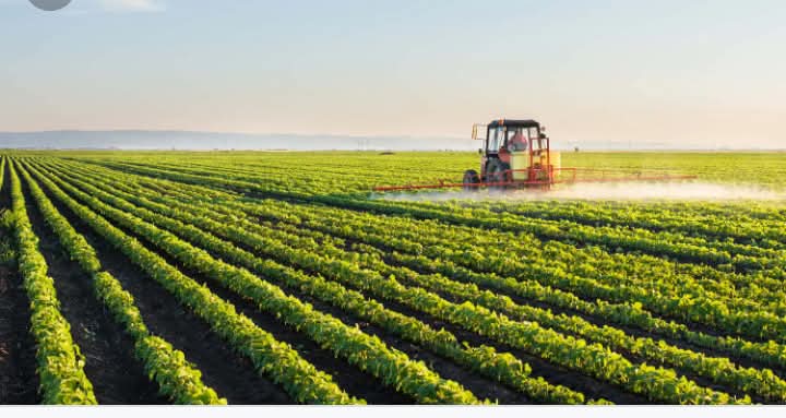 BRANCHES OF AGRICULTURE.