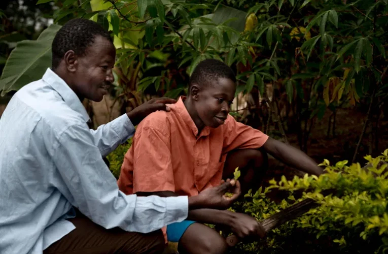 The Business of Composting: Turning Organic Waste into Profit in Nigeria