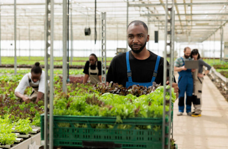 Starting an Organic Farm in Nigeria: A Step-by-Step Guide