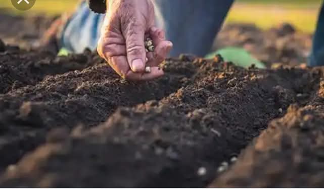 A Key Principle in Regenerative Agriculture.