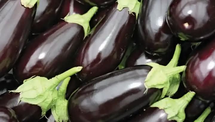 Mastering Eggplant Cultivation: Tips for a Bountiful Harvest.