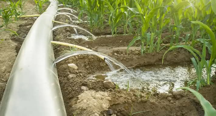 Importance of Irrigation.