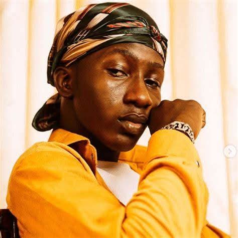 Biography of Peace Emmanuel Aderogba Oredope