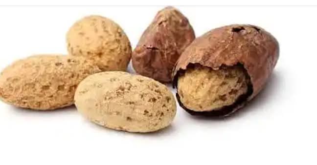 Bitter Kola Benefits for poultry Birds, Turkey ,farm animal, Rabbit etc