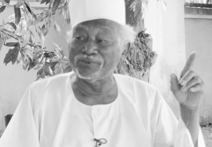 Who is Sani Zangon Daura?
