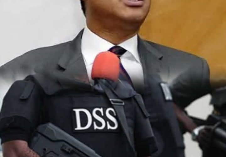 DSS Drags Pat Utomi to Court Over Shadow Government Move
