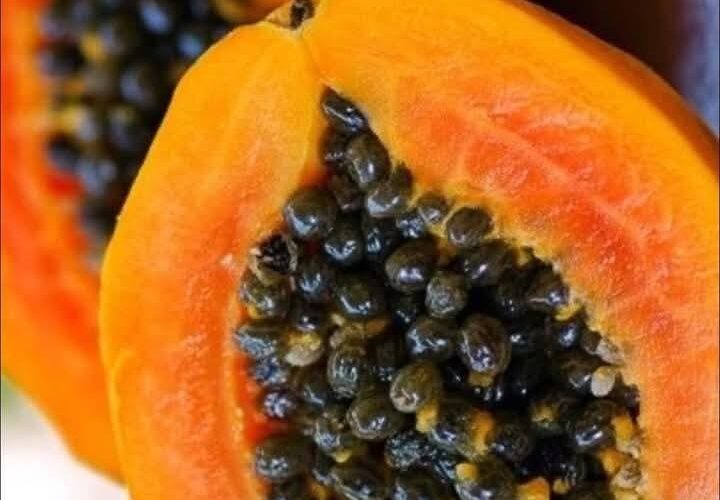 HOW TO USE PAWPAW/PAPAYA SEEDS AND LEAVES TO DEWORM CHICKEN, GOAT, COW, RABBIT, DOGS